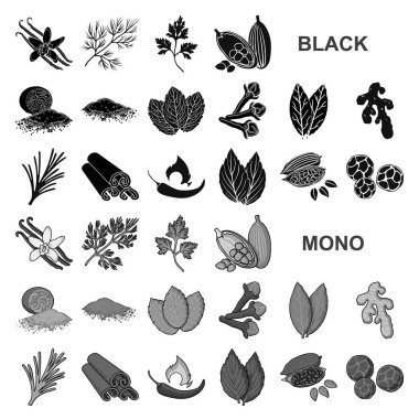 Ot ve baharat set koleksiyonu tasarım için simgeler siyah. Baharat çeşitleri simge stok illüstrasyon vektör.