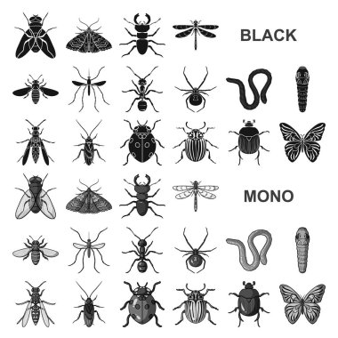 Çeşitli böcekler set koleksiyonu tasarım için simgeler siyah. Böcek Eklem bacaklılar vektör simge stok web çizimi.