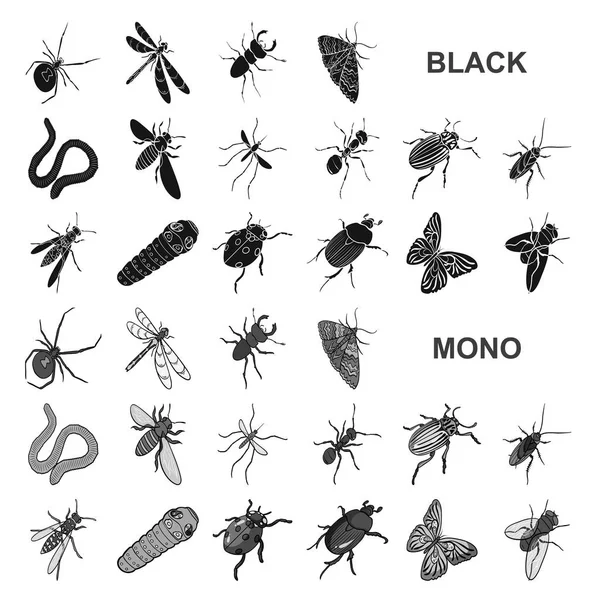 Différents types d'insectes icônes noires dans la collection de jeux pour le design. Insecte arthropode vecteur isométrique symbole stock web illustration . — Image vectorielle