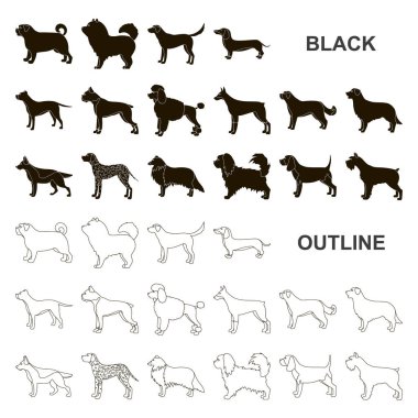 Köpek ırkları set koleksiyonu tasarım için simgeler siyah. Köpek evde beslenen hayvan vektör simge stok web çizim.