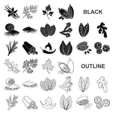 Ot ve baharat set koleksiyonu tasarım için simgeler siyah. Baharat çeşitleri simge stok web illüstrasyon vektör.