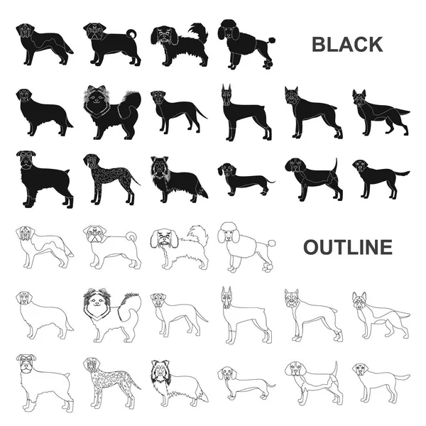犬の品種は黒デザインのセットのコレクションのアイコンです。犬ペットのベクトル シンボル ストック web イラスト. — ストックベクタ