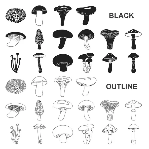 Icônes noires de champignons toxiques et comestibles dans la collection de set pour le design. Différents types de champignons vecteur symbole stock illustration web . — Image vectorielle