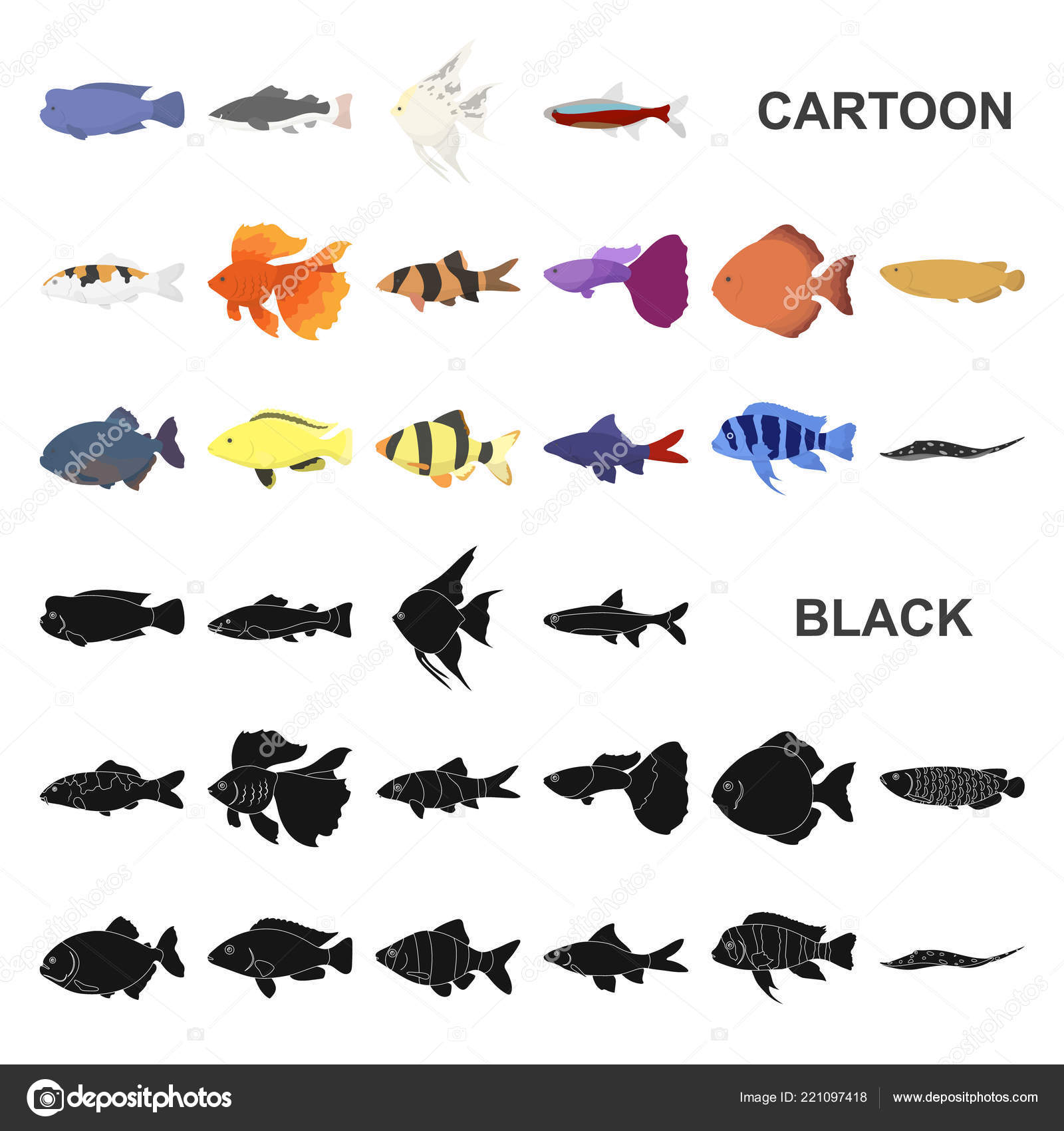 type of aquarium fish