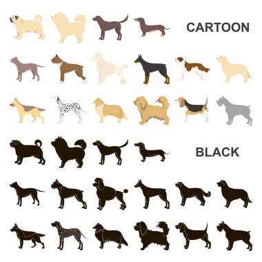 Köpek ırkları set koleksiyonu tasarım için simgeleri karikatür. Köpek evde beslenen hayvan vektör simge stok web çizim.