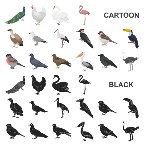 Tipos de pájaros iconos de dibujos animados en la colección de conjuntos para el diseño. Inicio y aves silvestres vector símbolo stock web ilustración . — Vector de stock