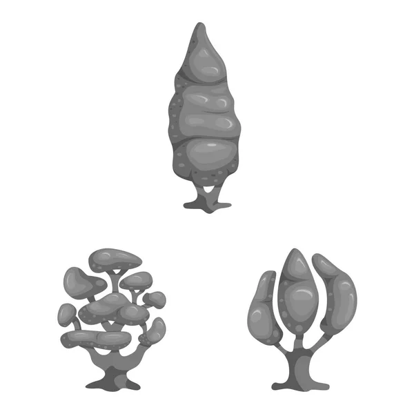 Vectorillustratie van structuur en natuur teken. Set van boom en kroon aandelensymbool voor web. — Stockvector