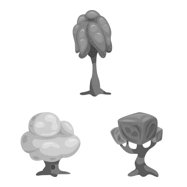 Isoleret objekt af træ og natur ikon. Sæt af træ og krone lager symbol for web . – Stock-vektor