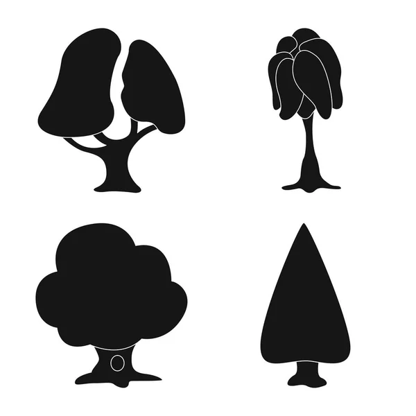 Objeto aislado de árbol y signo de naturaleza. Conjunto de árbol y corona icono vectorial para stock . — Archivo Imágenes Vectoriales