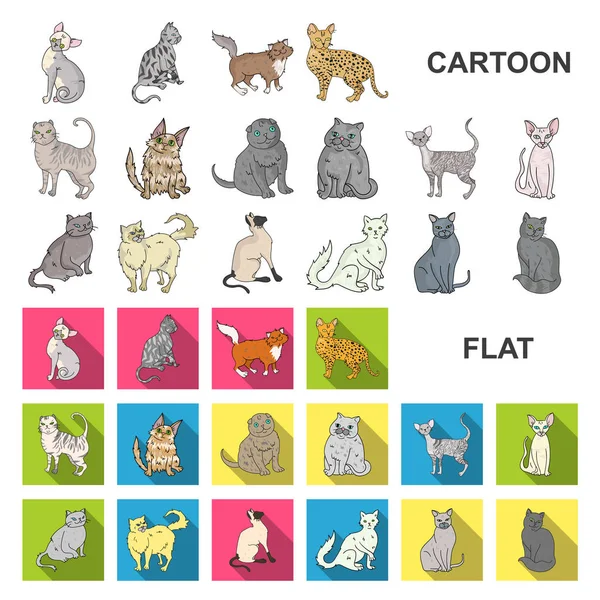 Raser av katter tecknad ikoner i set samling för design. Husdjur katt vektor symbol lager web illustration. — Stock vektor