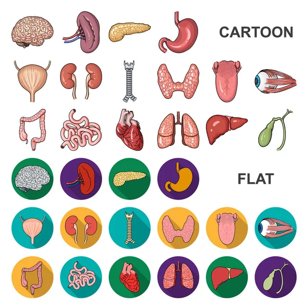 人間の臓器は漫画デザインのセットのコレクションのアイコンです。解剖学と内臓のベクトル シンボル ストック web イラスト. — ストックベクタ