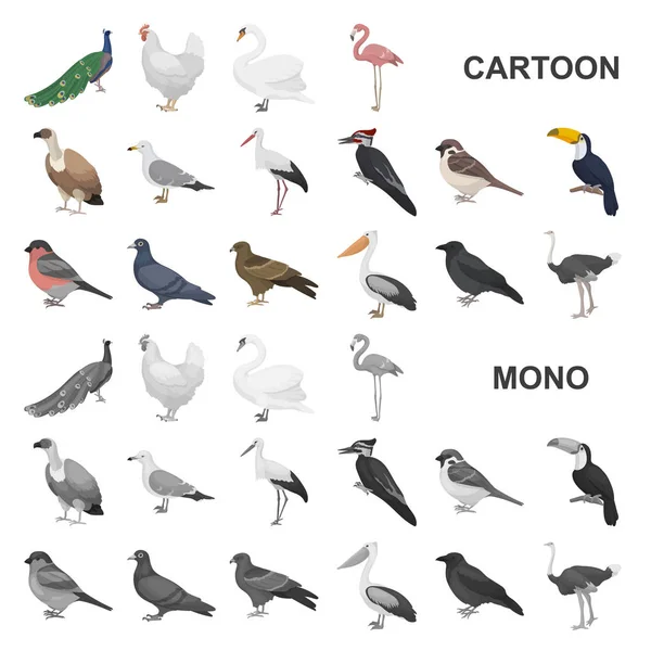Tipos de pájaros iconos de dibujos animados en la colección de conjuntos para el diseño. Inicio y aves silvestres vector símbolo stock web ilustración . — Archivo Imágenes Vectoriales