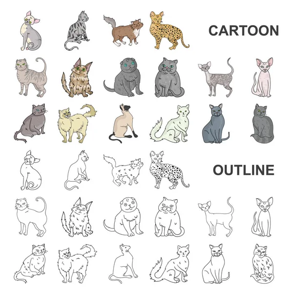 Races de chats icônes de dessin animé dans la collection de jeu pour le design. Animaux chat vecteur symbole stock web illustration . — Image vectorielle