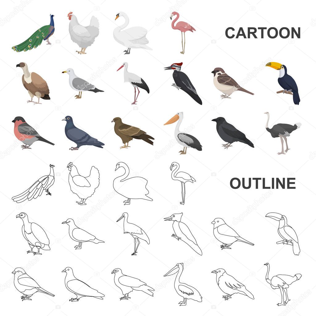 Types of birds cartoon icons in set collection for design. Home and wild bird vector symbol stock web illustration.