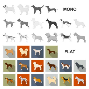 Köpek ırkları set koleksiyonu tasarım için simgeleri düz. Köpek evde beslenen hayvan vektör simge stok web çizim.