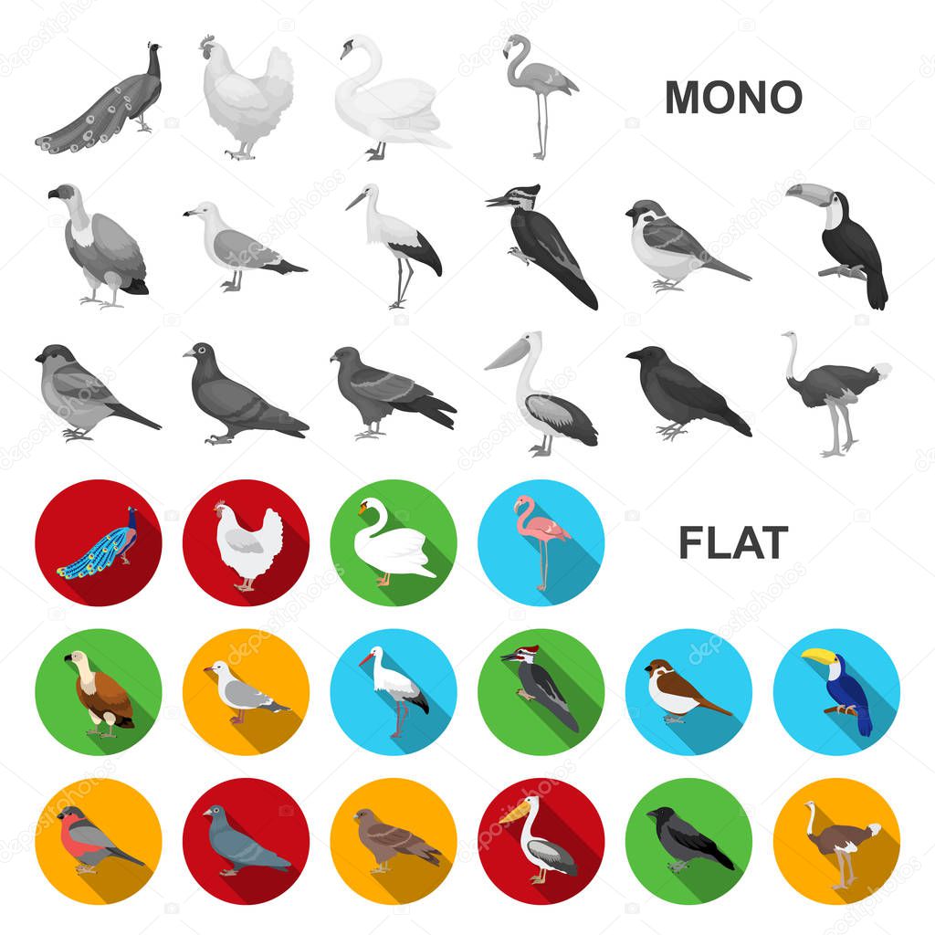 Types of birds flat icons in set collection for design. Home and wild bird vector symbol stock  illustration.