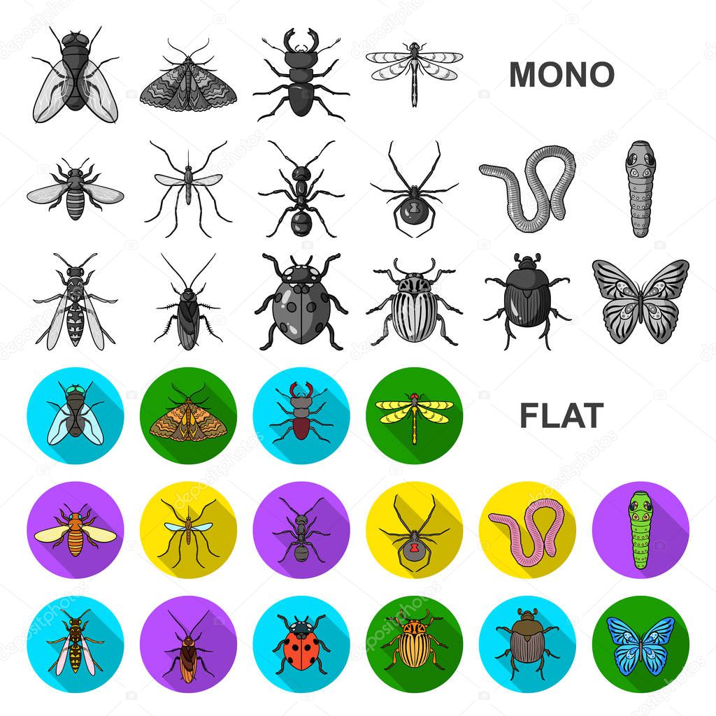 Different kinds of insects flat icons in set collection for design. Insect arthropod vector symbol stock web illustration.