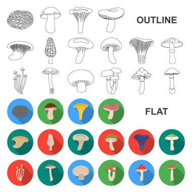 Poisonous and edible mushroom flat icons in set collection for design. Different types of mushrooms vector symbol stock web illustration. clipart