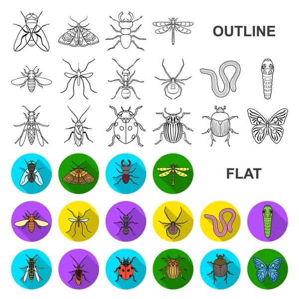 Different kinds of insects flat icons in set collection for design. Insect arthropod vector symbol stock web illustration. — Stock Vector