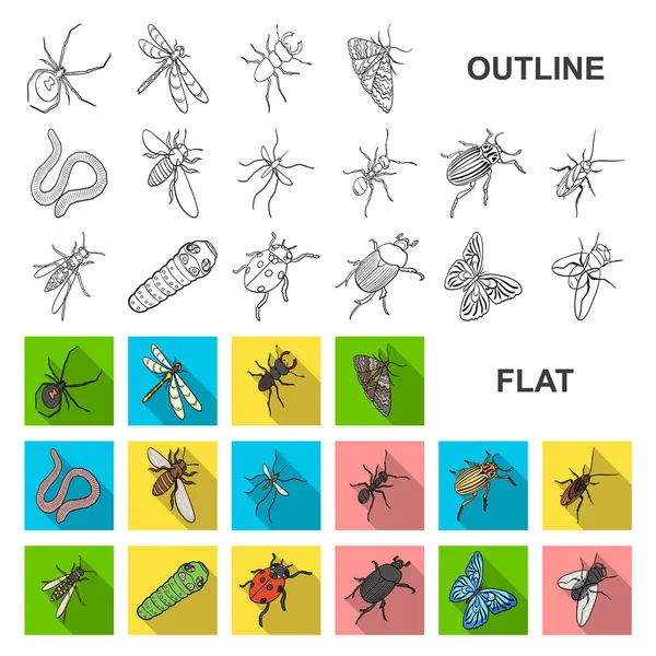 Verschiedene Arten von Insekten flache Symbole in Set Sammlung für Design. Insekt Arthropoden Vektor isometrisches Symbol Stock Web Illustration. — Stockvektor