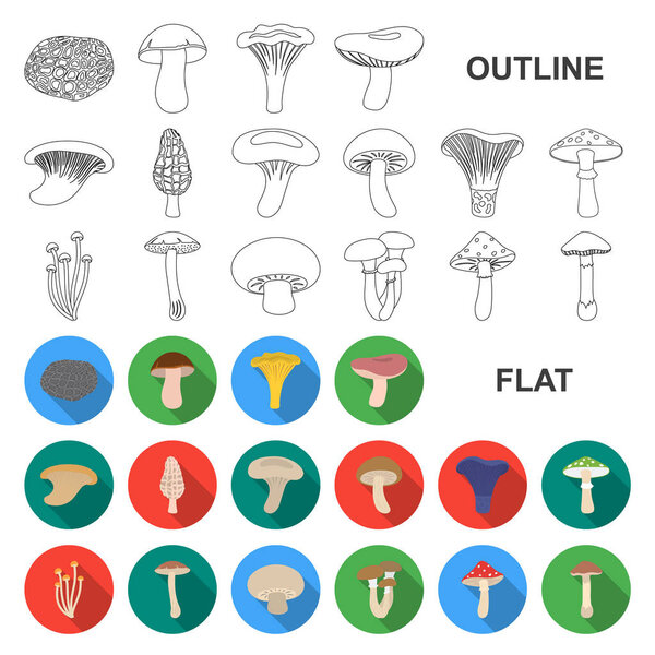 Poisonous and edible mushroom flat icons in set collection for design. Different types of mushrooms vector symbol stock web illustration.
