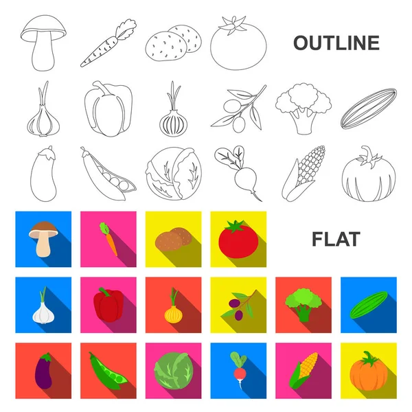 Różnego rodzaju warzywa płaski ikony w kolekcja zestaw do projektowania. Warzywa i witamin symbol web czas ilustracja wektorowa. — Wektor stockowy