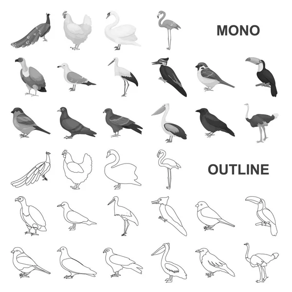 Types d'oiseaux monochrome icônes dans la collection ensemble pour le design. Maison et sauvage oiseau vecteur symbole stock web illustration . — Image vectorielle