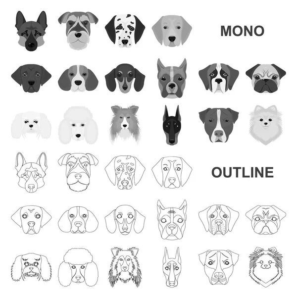 El perro reproduce iconos monocromáticos en la colección de conjuntos para el diseño.Hocico de un perro vector símbolo stock web ilustración . — Archivo Imágenes Vectoriales