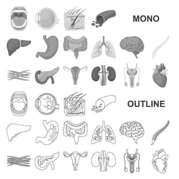 Órganos internos de un monocromo humano iconos en la colección de conjuntos para el diseño. Anatomía y medicina vector símbolo stock web ilustración . — Vector de stock