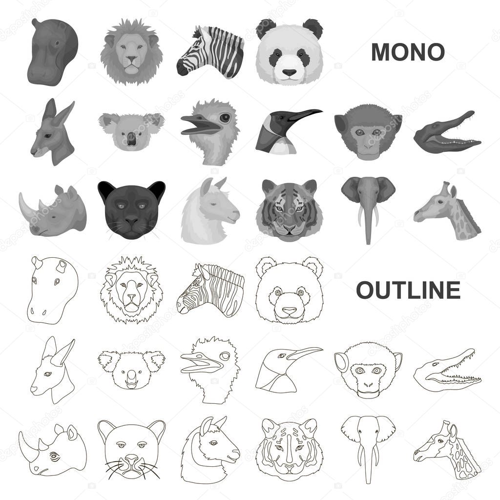 Wild animal monochrom icons in set collection for design. Mammal and bird vector symbol stock web illustration.