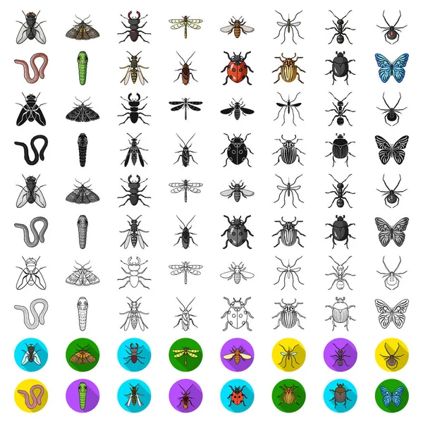 Différents types d'icônes de dessin animé insectes dans la collection de jeu pour la conception. Insecte arthropode vecteur symbole stock web illustration . — Image vectorielle