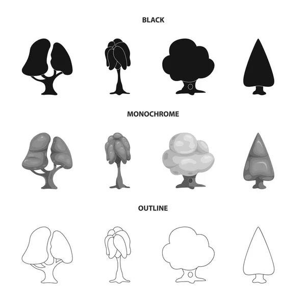 Objet isolé de l'arbre et l'icône de la nature. Jeu d'illustration vectorielle arbre et couronne . — Image vectorielle