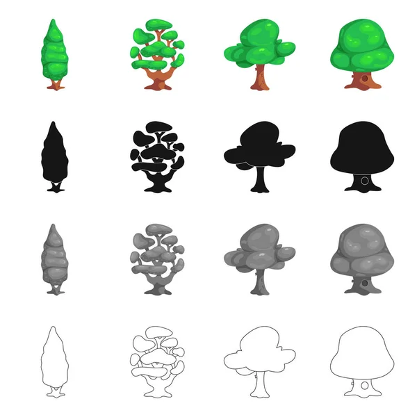 Projeto vetorial de árvore e sinal de natureza. Coleção de árvore e coroa vetor ícone para estoque . — Vetor de Stock