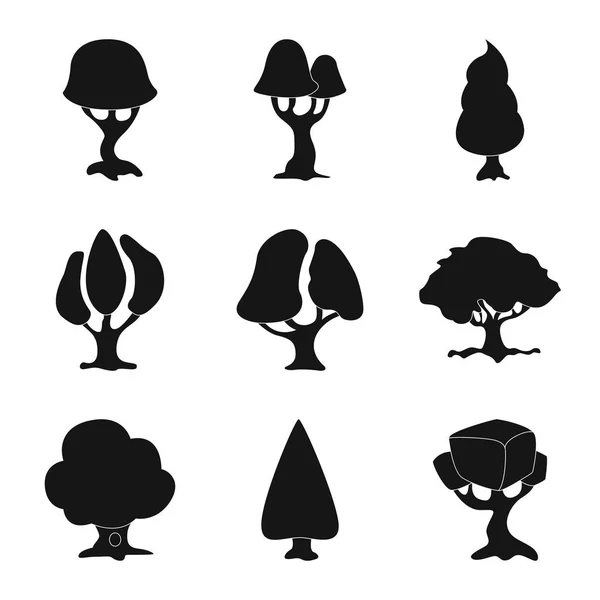 Vector ontwerp van boom en natuur symbool. Collectie van boom en kroon aandelensymbool voor web. — Stockvector
