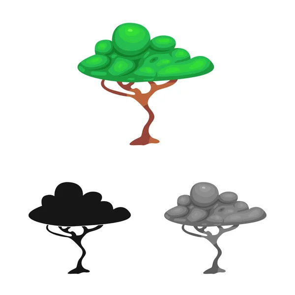 Isolerade objekt av träd och naturen logotyp. Samling av träd och krona vektor ikonen för lager. — Stock vektor