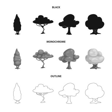 Ağaç ve doğa simge vektör tasarımı. Ağaç ve taç hisse senedi simgesi için web topluluğu.