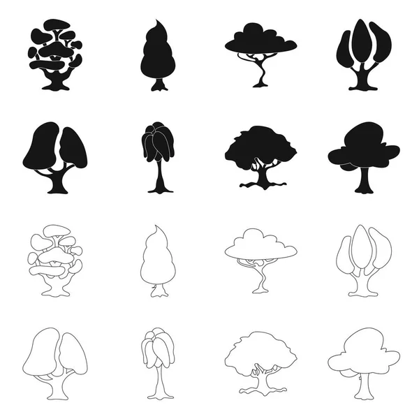 Векторная иллюстрация иконки дерева и природы. Коллекция символов дерева и короны для паутины . — стоковый вектор