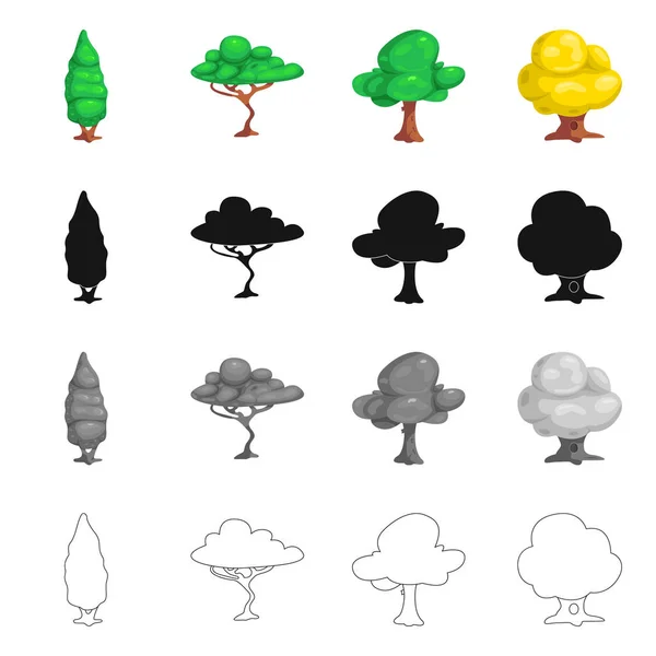 Projeto vetorial de árvore e sinal de natureza. Conjunto de árvore e coroa vetor ícone para estoque . — Vetor de Stock