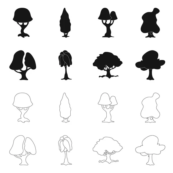 Objeto isolado de árvore e ícone da natureza. Coleção de árvore e coroa símbolo de estoque para web . — Vetor de Stock