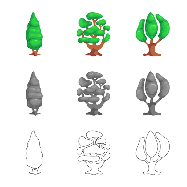 Vektor design av träd och naturen tecken. Uppsättning av trädet och crown lager vektorillustration. — Stock vektor