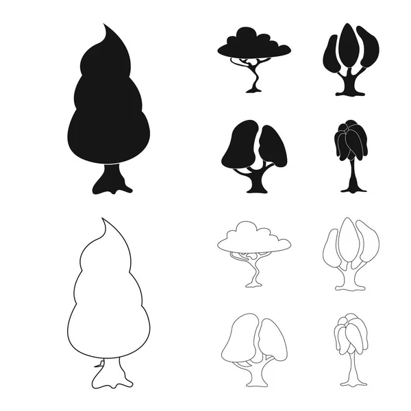 Vectorillustratie van structuur en natuur logo. Collectie van boom en kroon voorraad vectorillustratie. — Stockvector