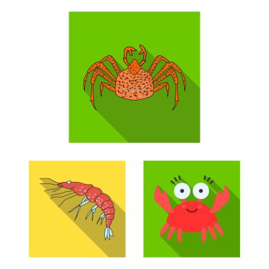 Yengeç ve plaj simge vektör Illustration. Yengeç ve deniz hisse senedi simgesi web için kümesi.