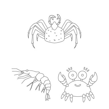 Yengeç ve plaj işareti tasarımını vektör. Yengeç ve deniz hisse senedi simgesi için web topluluğu.