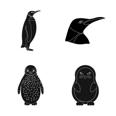 Sevimli vektör tasarımı ve kar logosu. Hisse senedi için mutlu ve sevimli vektör simge kümesi.