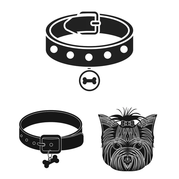 Isolerade objekt av husdjur och tillbehör symbol. Samling av pet och butik aktiesymbol för webben. — Stock vektor
