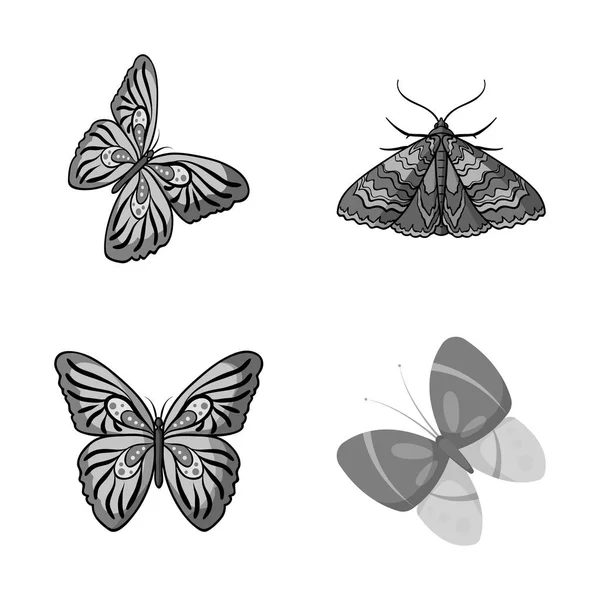 Diseño vectorial de color y símbolo de resorte. Conjunto de icono de vector de color y mosca para stock . — Vector de stock