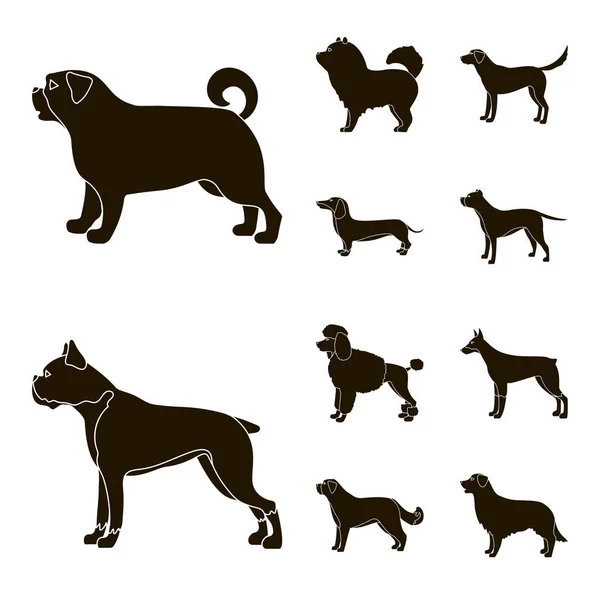 Vector design of cute and puppy icon. Set of cute and animal stock vector illustration. — Stock Vector