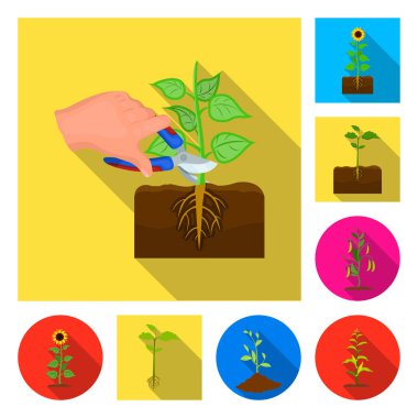 Bitki ve fasulye logosu yalıtılmış nesne. Web için bitki ve işlem hisse senedi simgesi kümesi.