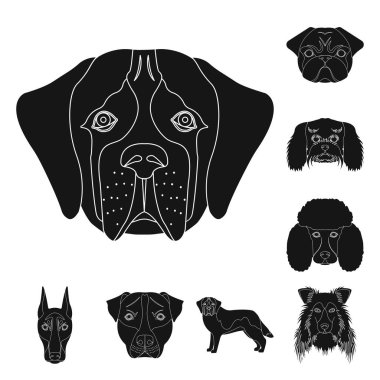 Sevimli vektör tasarımı ve köpek yavrusu logosu. Web için şirin ve hayvan hisse senedi simgesi kümesi.