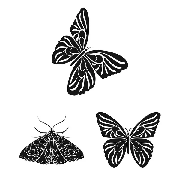 Diseño vectorial de color y signo de primavera. Conjunto de color y mosca símbolo de stock para la web . — Vector de stock